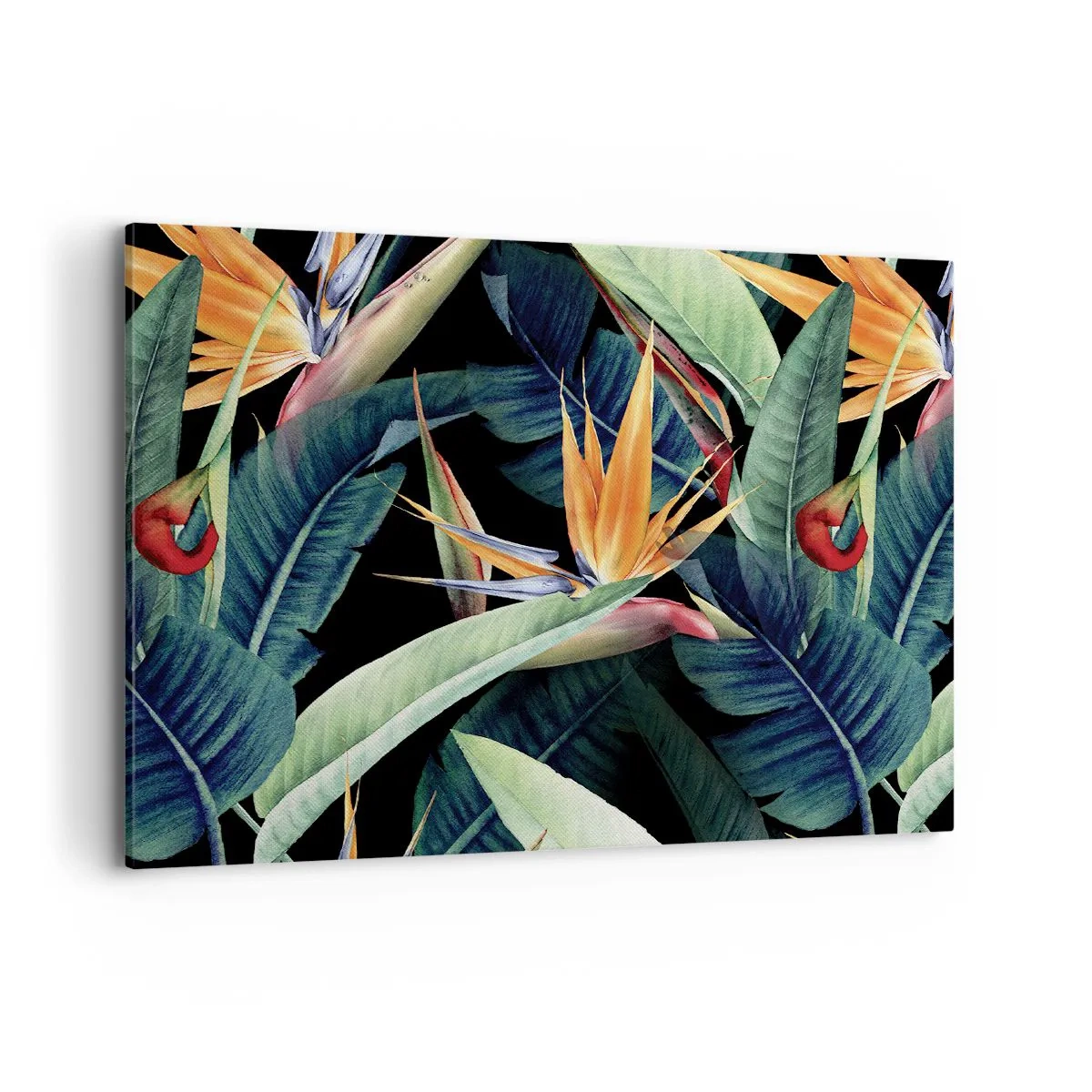 Impression sur toile - Image sur toile - Fleurs et feuilles tropicales sur fond noir - 100x70cm - Fleurs flamboyantes des tropiques - Décoration murale moderne pour le salon et la chambre ARTTOR