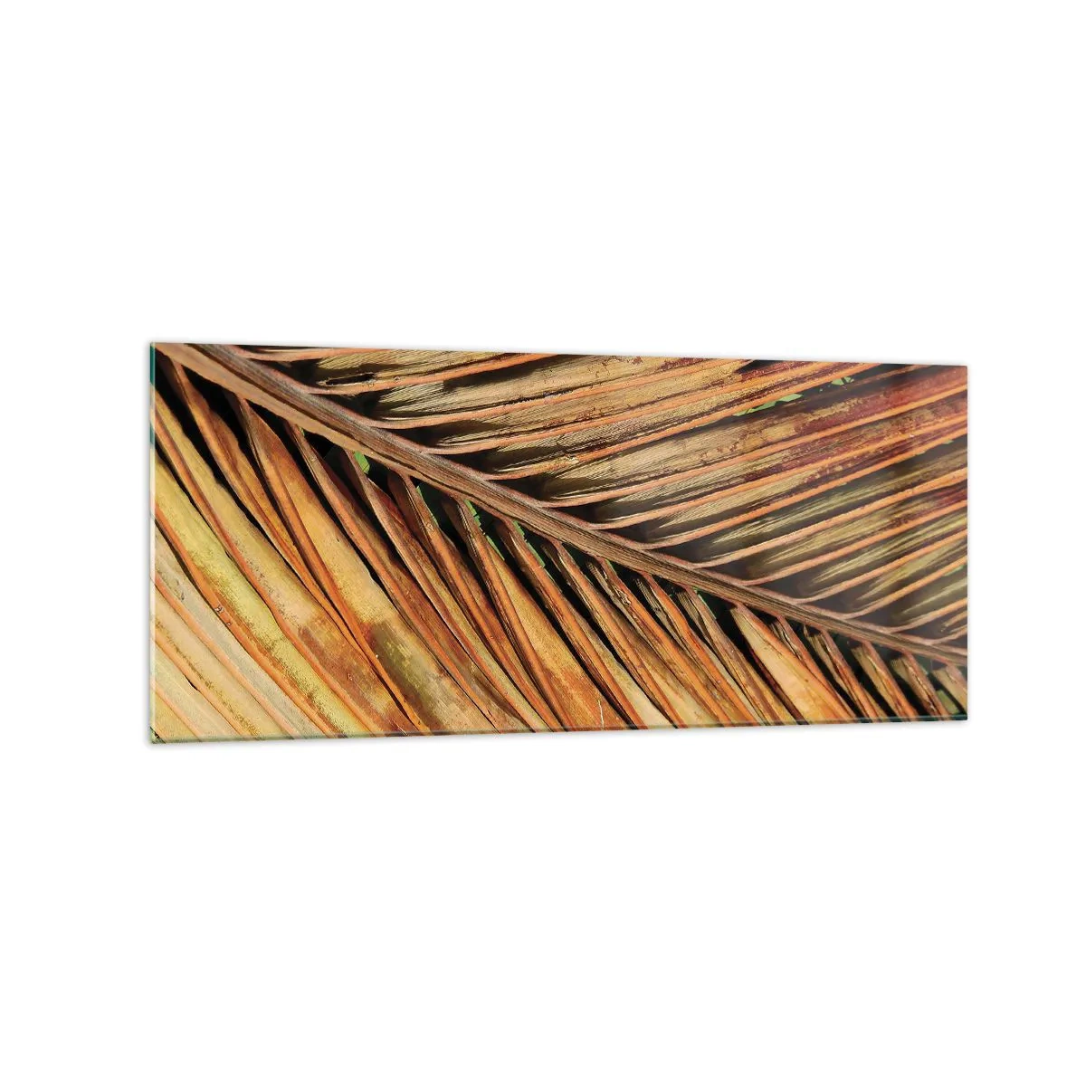 Impression sur verre - Image sur verre - Gros plan d'une feuille de palmier sèche aux tons chauds - 120x50cm - Or de noix de coco - Décoration murale moderne pour le salon et la chambre ARTTOR