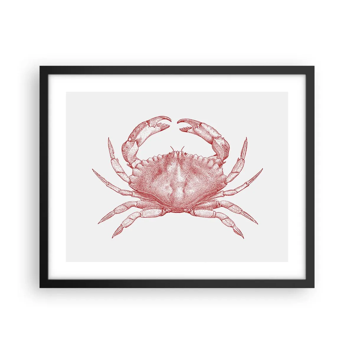 Affiche dans un cadre noir - Poster - Le crabe des crabes - 50x40 cm