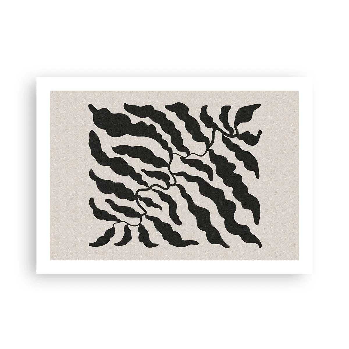 Affiche - Poster - La nature du carré - 70x50 cm