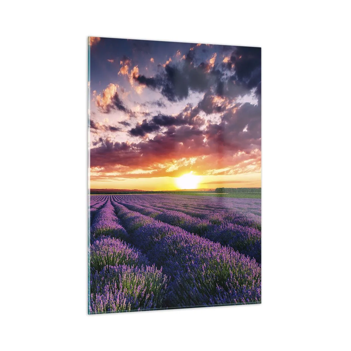 Impression sur verre - Image sur verre - Un champ de lavande au coucher du soleil avec un ciel coloré et des nuages - 50x70cm - Monde de lavande - Décoration murale moderne pour le salon et la chambre ARTTOR