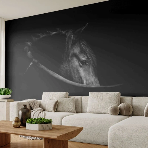 Papier Peint Photo Premium Canvas - Prince Noir - Cheval, Animal, Artistique - 350x256 cm