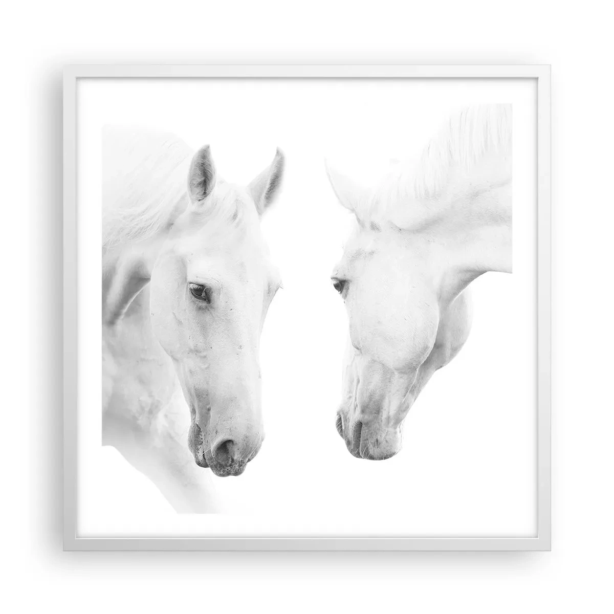 Affiche dans un cadre blanc - Poster - Serait-ce de l’amitié? - 60x60 cm