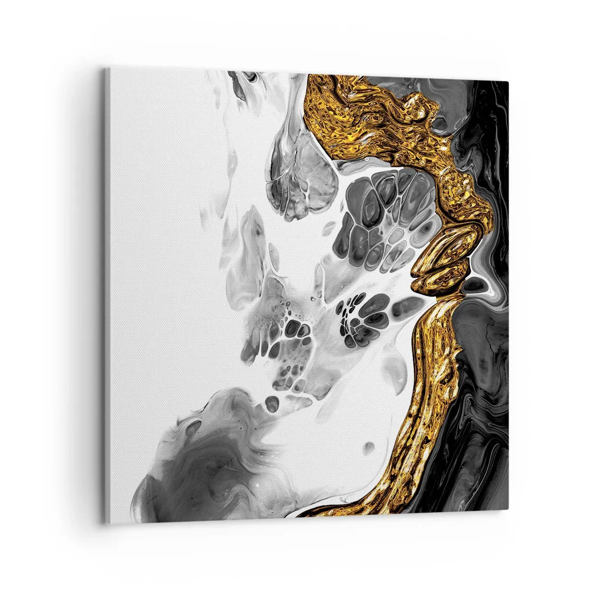 Impression sur toile - Image sur toile - Composition organique - 60x60 cm