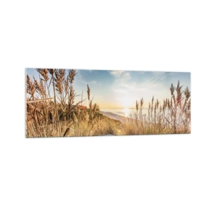 Impression sur verre - Image sur verre - Une plage pittoresque avec de l'herbe et le soleil couchant - 140x50cm - Plage du nord - Décoration murale moderne pour le salon et la chambre ARTTOR