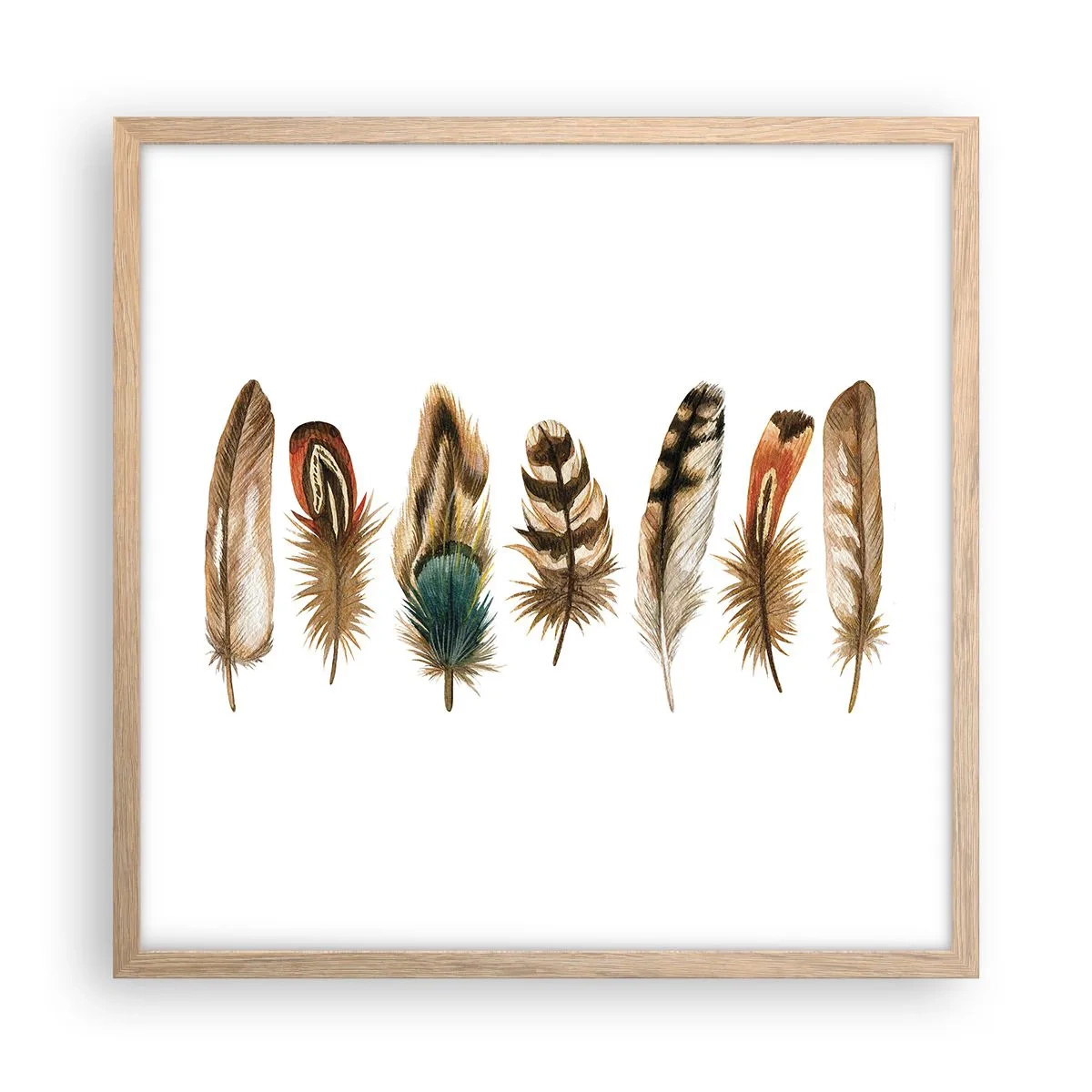 Affiche dans un chêne clair - Poster - Variation à plumes - 50x50 cm