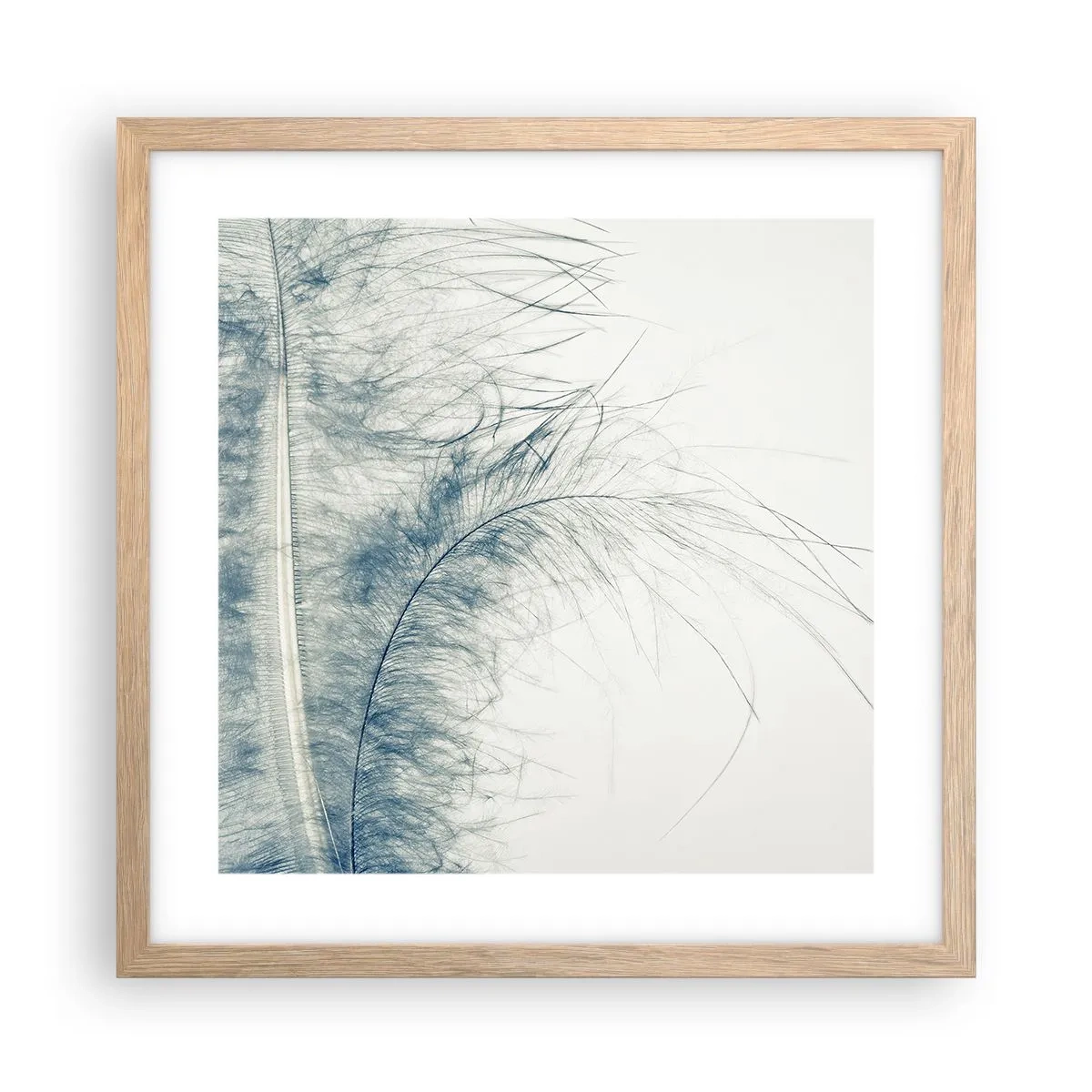 Affiche dans un chêne clair - Poster - Les sept natures - 40x40 cm