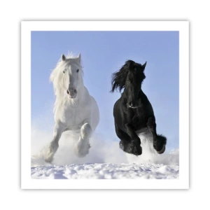 Affiche - Poster - Galop noir et blanc - 60x60 cm