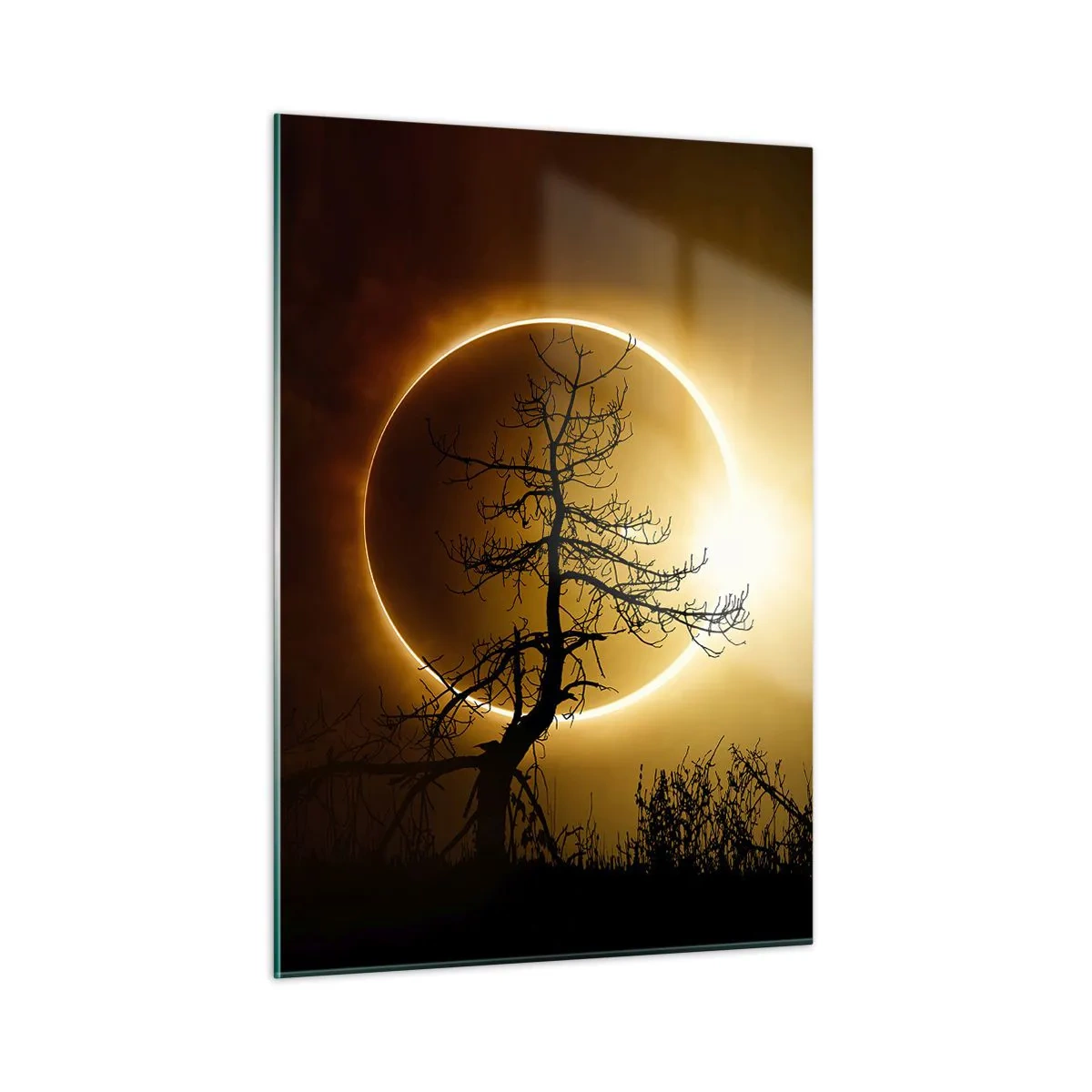 Impression sur verre - Image sur verre - Éclipse solaire derrière l'arbre - 50x70cm - Éclipse totale - Décoration murale moderne pour le salon et la chambre ARTTOR