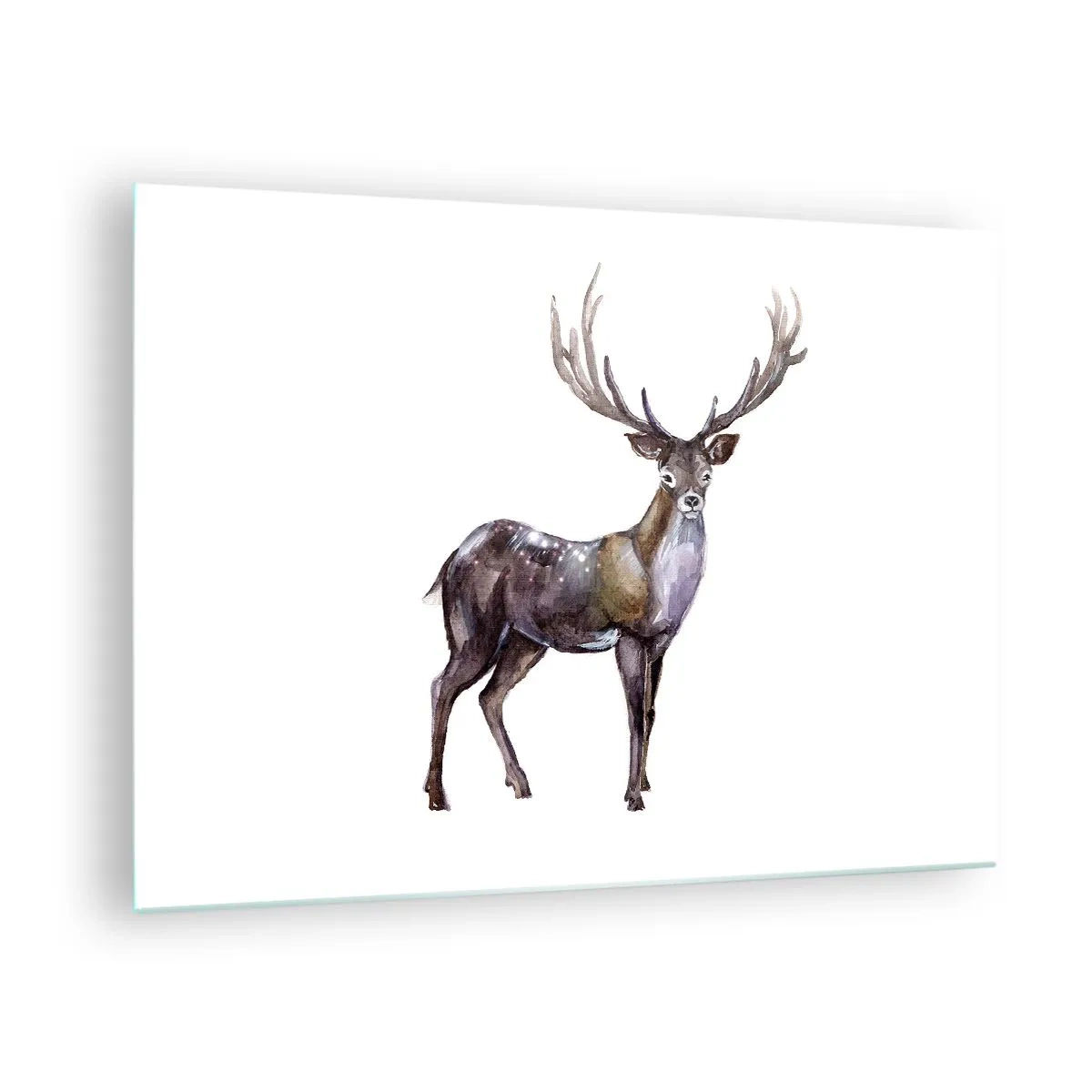 Impression sur verre - Image sur verre - Cerf aquarelle élégant - 70x50cm - Roi de la forêt du nord - Décoration murale moderne pour le salon et la chambre ARTTOR