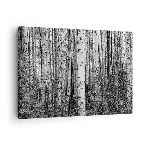 Impression sur toile - Image sur toile - Bouleaux noirs et blancs dans la forêt - 70x50cm - Enchevêtrement de bouleau - Décoration murale moderne pour le salon et la chambre ARTTOR