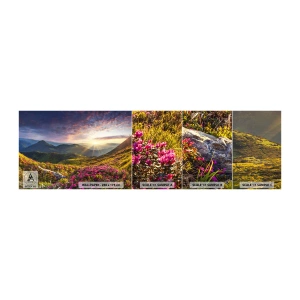 Échantillon De Papier Peint Standard Eco - Fraîcheur matinale en montagne - Paysage, Montagnes, Fleurs - 100x30 cm