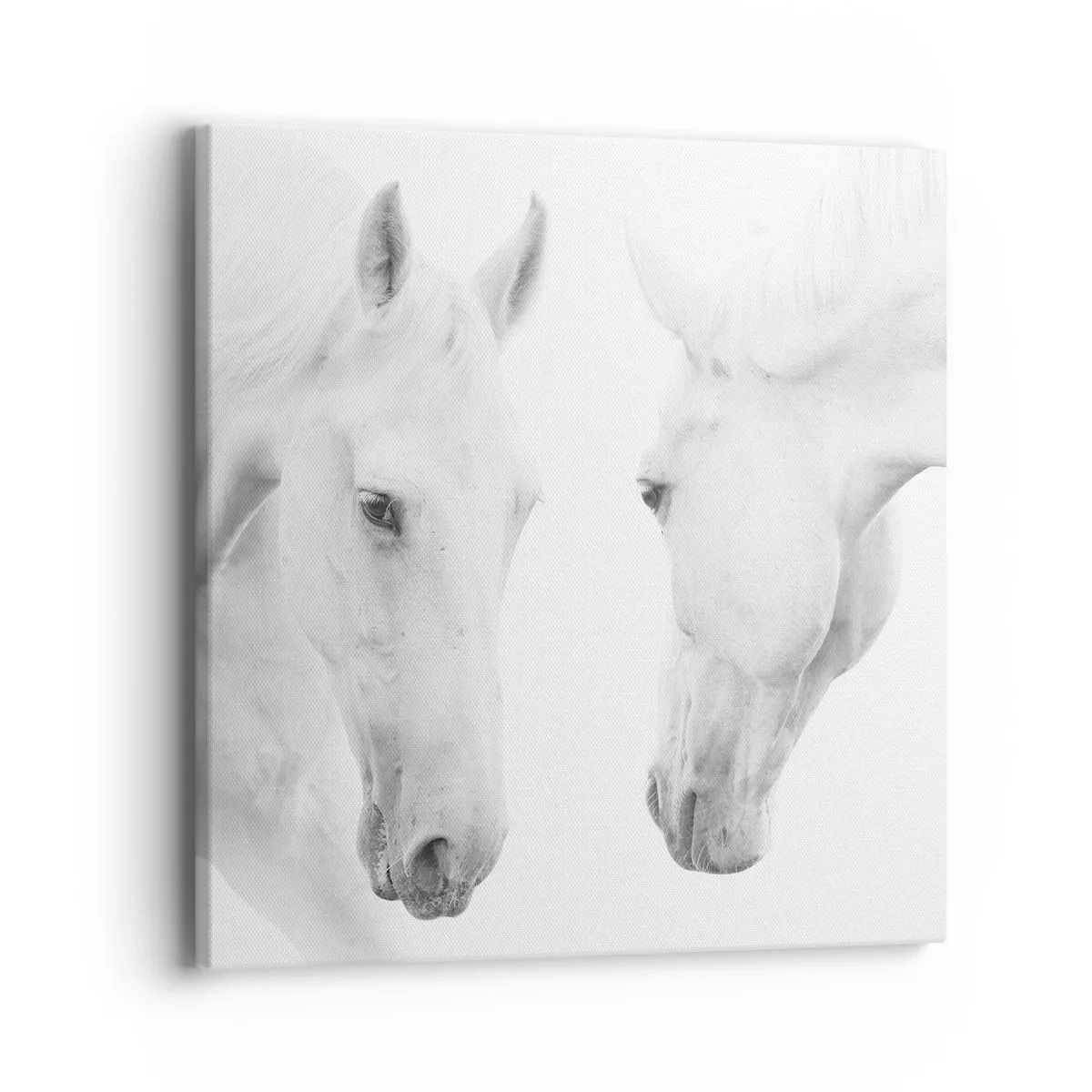 Impression sur toile - Image sur toile - Serait-ce de l’amitié? - 40x40 cm