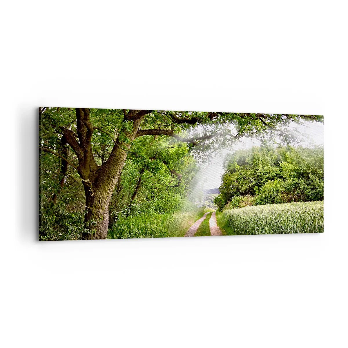 Impression sur toile - Image sur toile - Et in Arcadia ego - 100x40 cm
