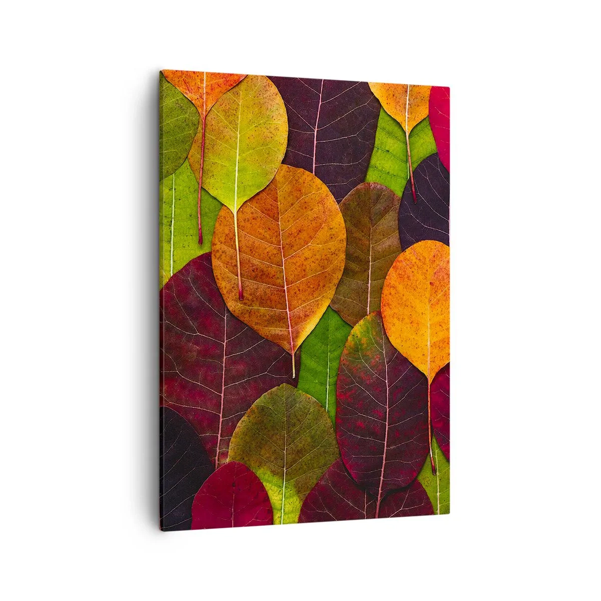 Impression sur toile - Image sur toile - Feuilles colorées disposées selon un motif d'automne - 50x70cm - Mozaique printannière - Décoration murale moderne pour le salon et la chambre ARTTOR