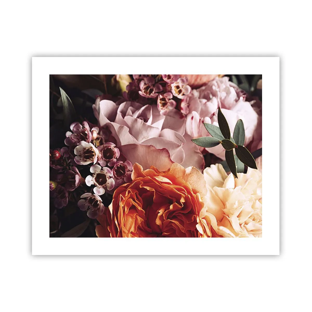 Affiche - Poster - Enveloppé de beauté - 50x40 cm