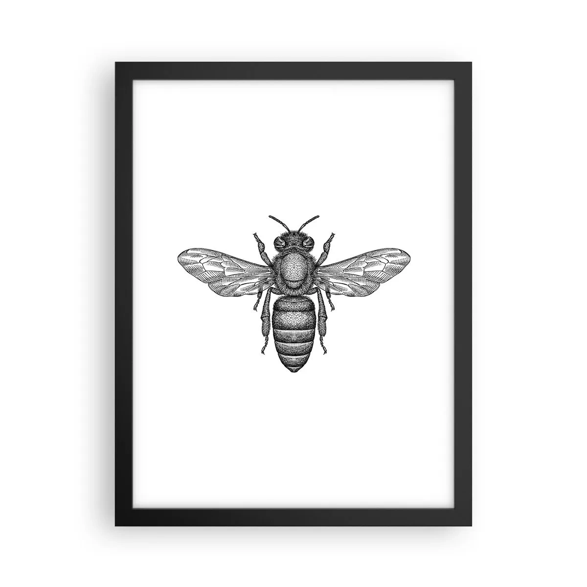 Affiche dans un cadre noir - Poster - Portrait d'insecte - 30x40 cm