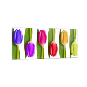 Impression sur verre - Image sur verre - Tulipes multicolores disposées en rangée sur fond blanc - 120x50cm - Composition arc-en-ciel - Décoration murale moderne pour le salon et la chambre ARTTOR