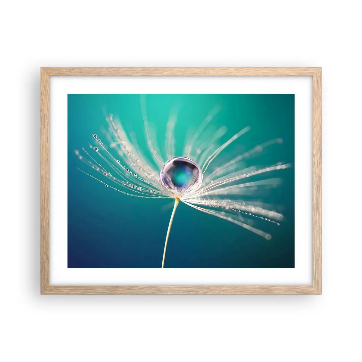 Affiche dans un chêne clair - Poster - Moment mystique - 50x40 cm