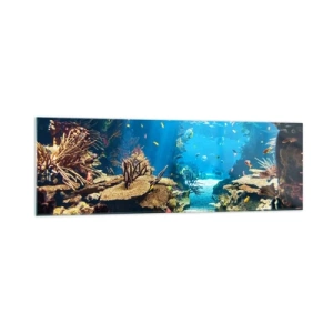 Impression sur verre - Image sur verre - Monde sous-marin avec récif corallien et poissons - 160x50cm - Tu ne l'as même pas rêvé - Décoration murale moderne pour le salon et la chambre ARTTOR