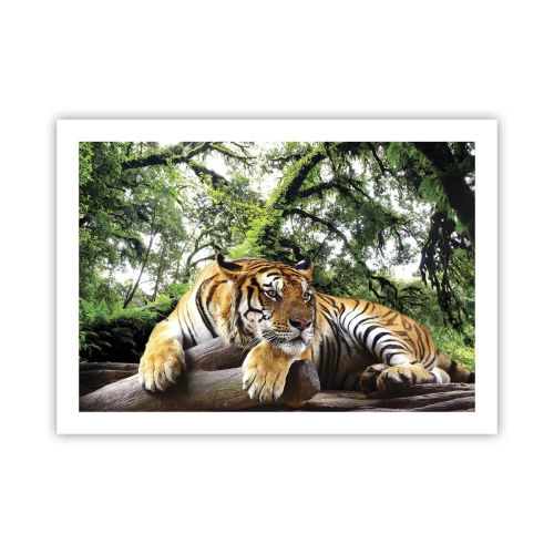 Affiche - Poster - Cordialement - 70x50 cm