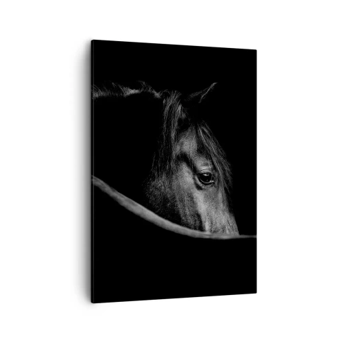Impression sur toile - Image sur toile - Portrait en noir et blanc d'un cheval avec un jeu subtil de lumière et d'ombre sur un fond sombre. - 50x70cm - Prince Noir - Décoration murale moderne pour le salon et la chambre ARTTOR