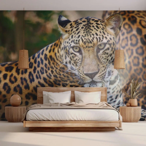 Papier Peint Photo Premium Canvas - Sauvage et calme - Animaux, léopard, Afrique - 300x210 cm