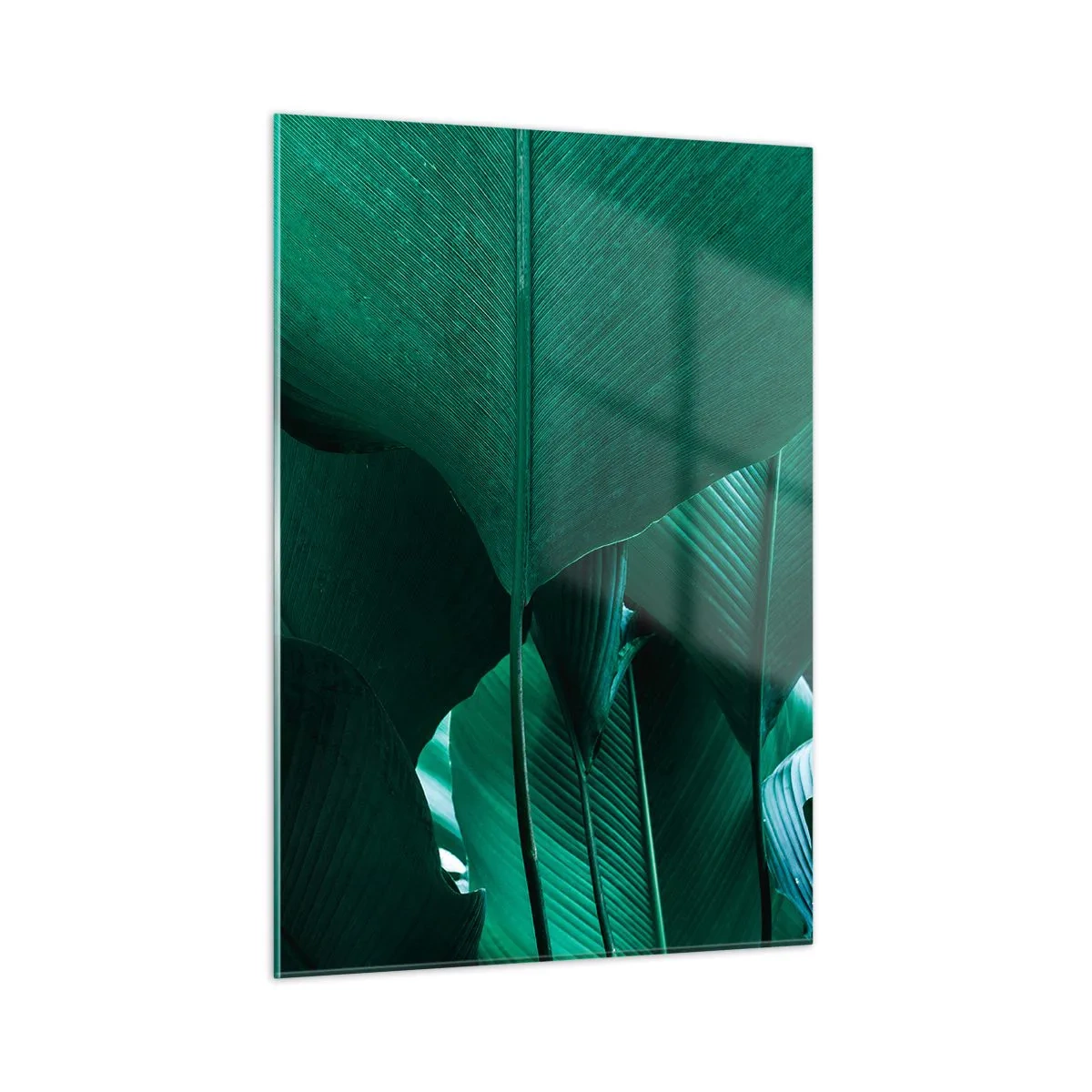 Impression sur verre - Image sur verre - Feuilles tropicales aux nuances de vert intenses - 50x70cm - Tourné vers la lumière - Décoration murale moderne pour le salon et la chambre ARTTOR