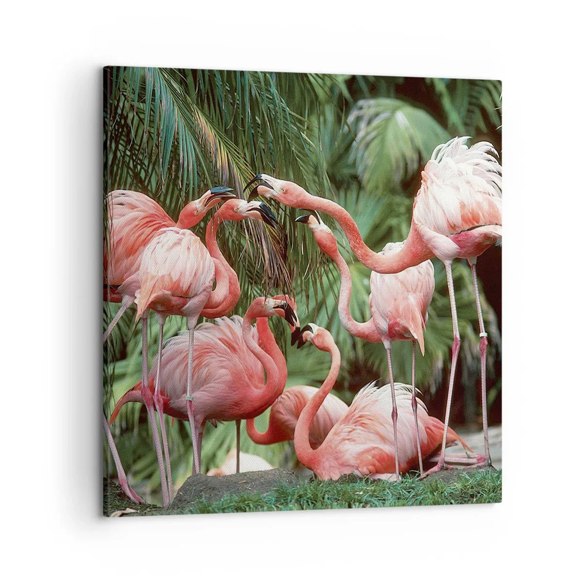 Impression sur toile - Image sur toile - Potins d'après-midi - 50x50 cm