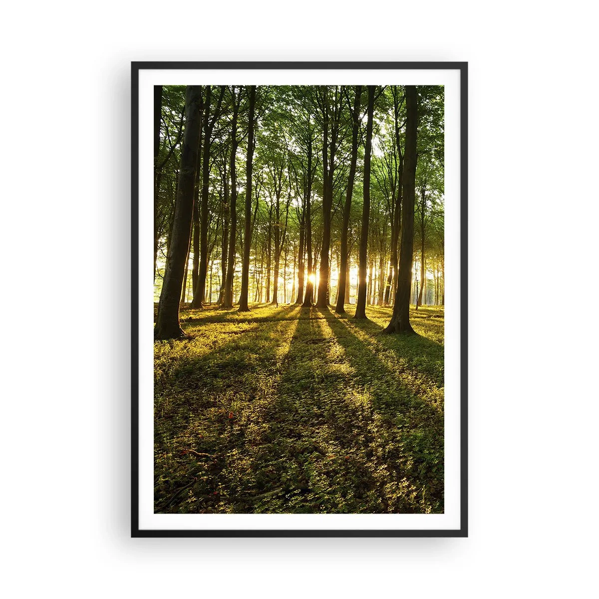 Affiche dans un cadre noir - Poster - Toutes les photographies de printemps - 70x100 cm