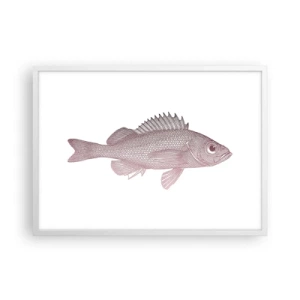 Affiche dans un cadre blanc - Poster - Poisson aux grands yeux - 70x50 cm