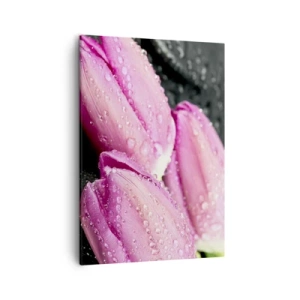 Impression sur toile - Image sur toile - Trois tulipes roses avec des gouttes d'eau sur fond noir - 50x70cm - Lilas trois sur une pierre noire - Décoration murale moderne pour le salon et la chambre ARTTOR
