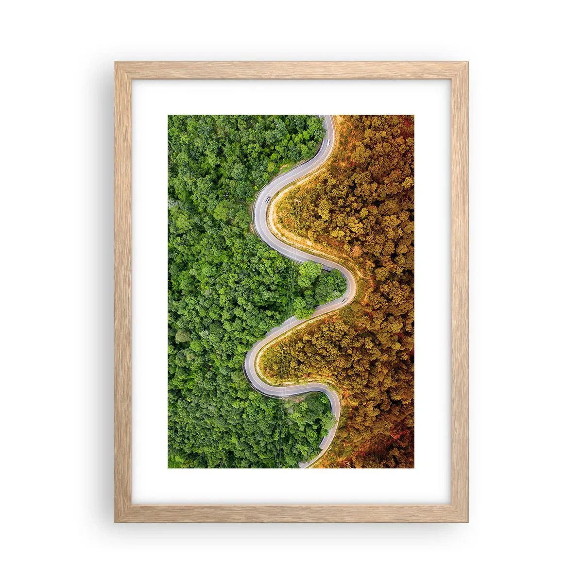 Affiche dans un chêne clair - Poster - Frontieres et differences - 30x40 cm