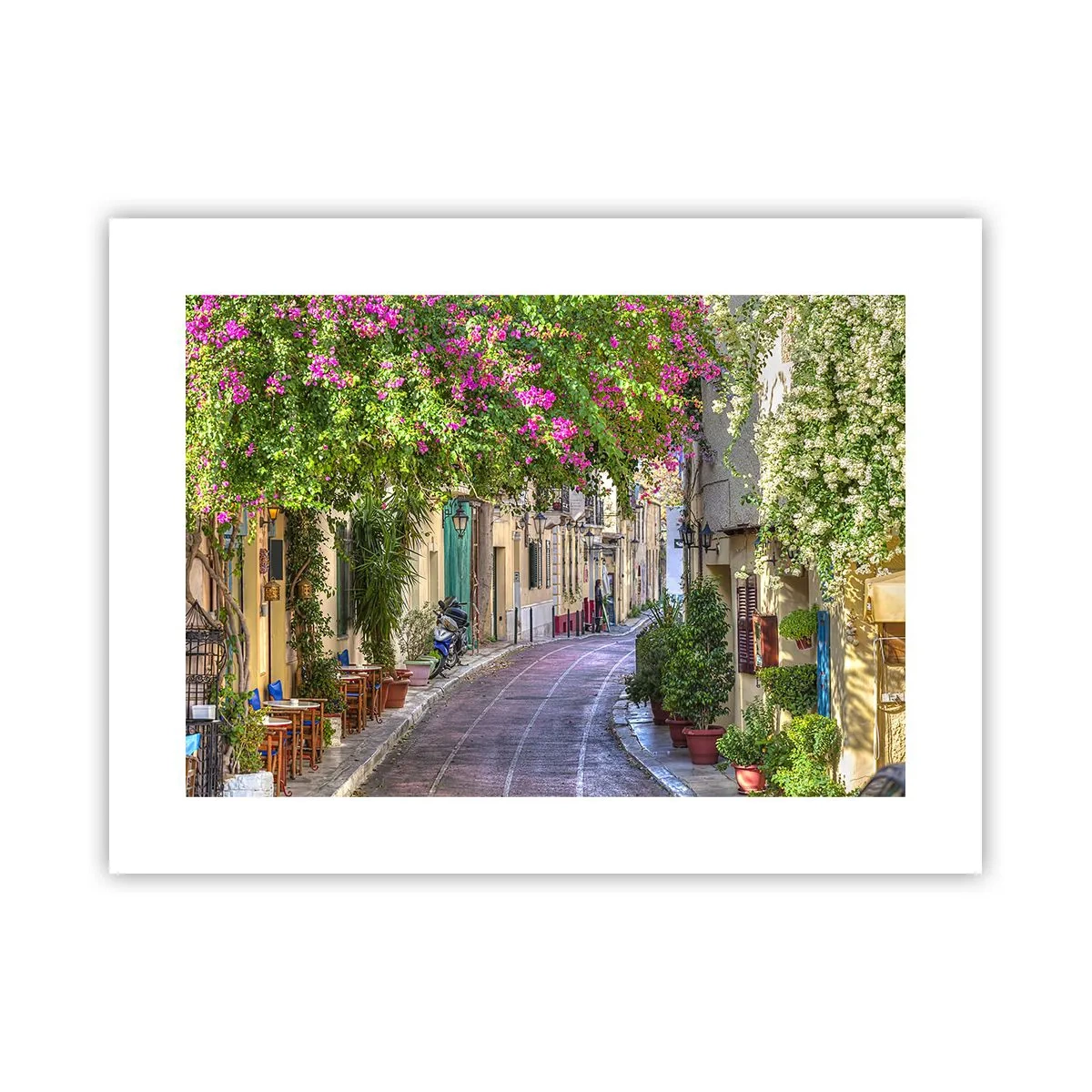 Affiche - Poster - Allée fleurie - 40x30 cm