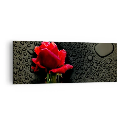 Impression sur toile - Image sur toile - Rose rouge avec des gouttes d'eau sur un fond sombre - 140x50cm - Rouge et noir - Décoration murale moderne pour le salon et la chambre ARTTOR