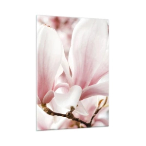 Impression sur verre - Image sur verre - Magnolias roses délicats en gros plan sur un fond flou - 50x70cm - Abondance de tendresse - Décoration murale moderne pour le salon et la chambre ARTTOR