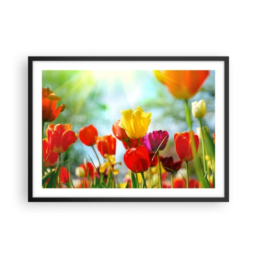 Affiche dans un cadre noir - Poster - Tulipes colorées au soleil - 70x50cm - Toutes les couleurs du soleil - Décoration murale moderne pour le salon et la chambre ARTTOR