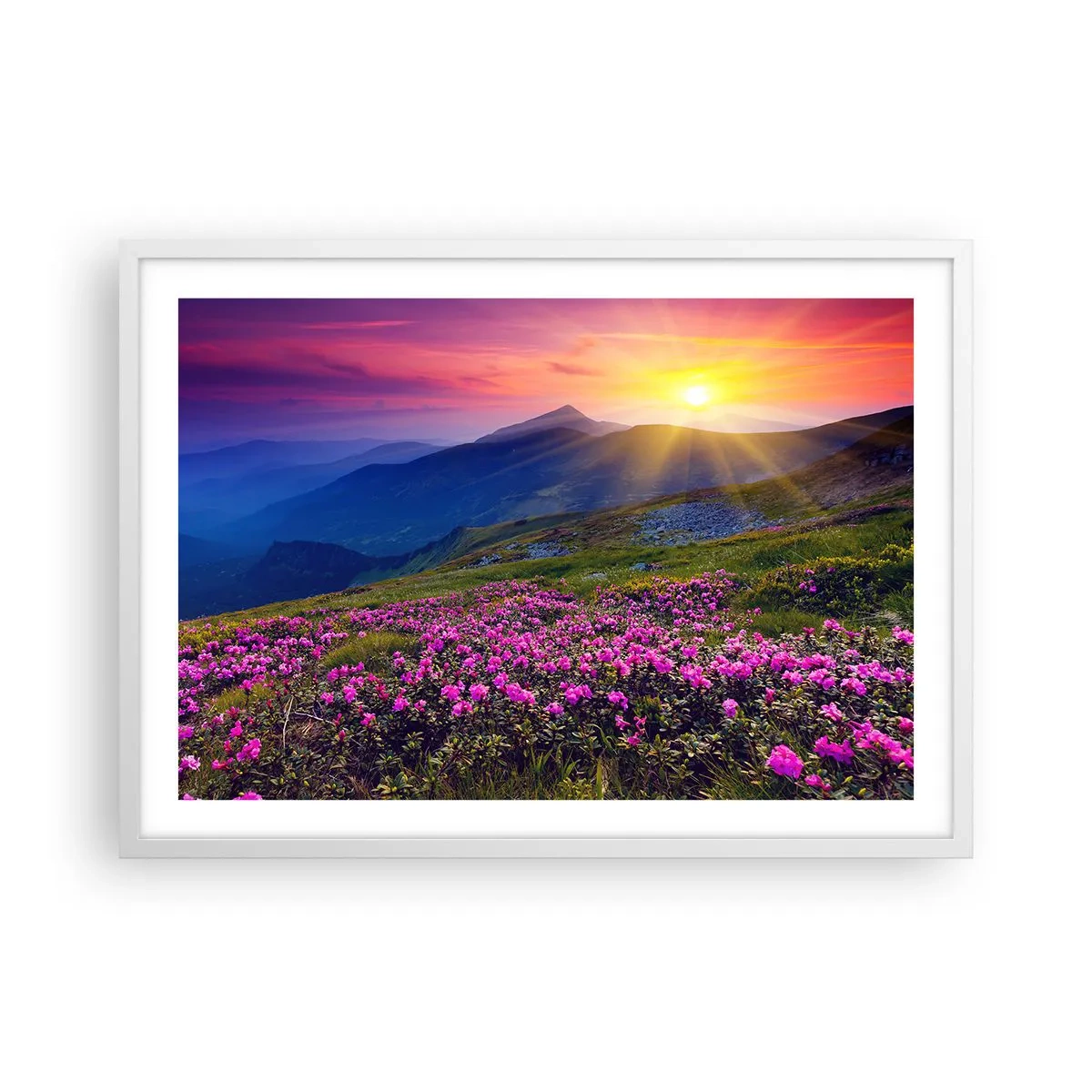 Affiche dans un cadre blanc - Poster - … Et autour, ça sent le pin des montagnes et l'odeur de la prairie - 70x50 cm