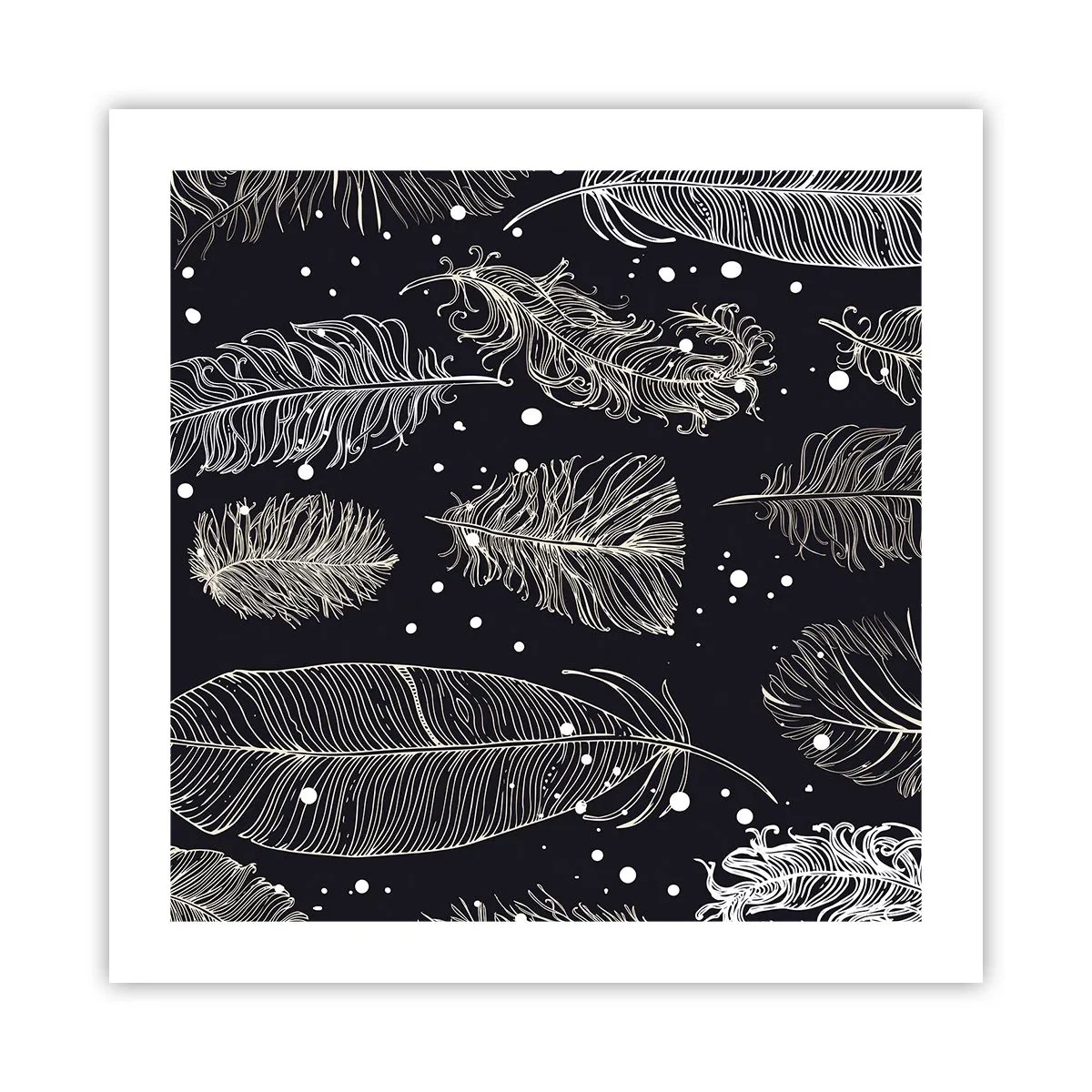 Affiche - Poster - Toile de plumes - 50x50 cm