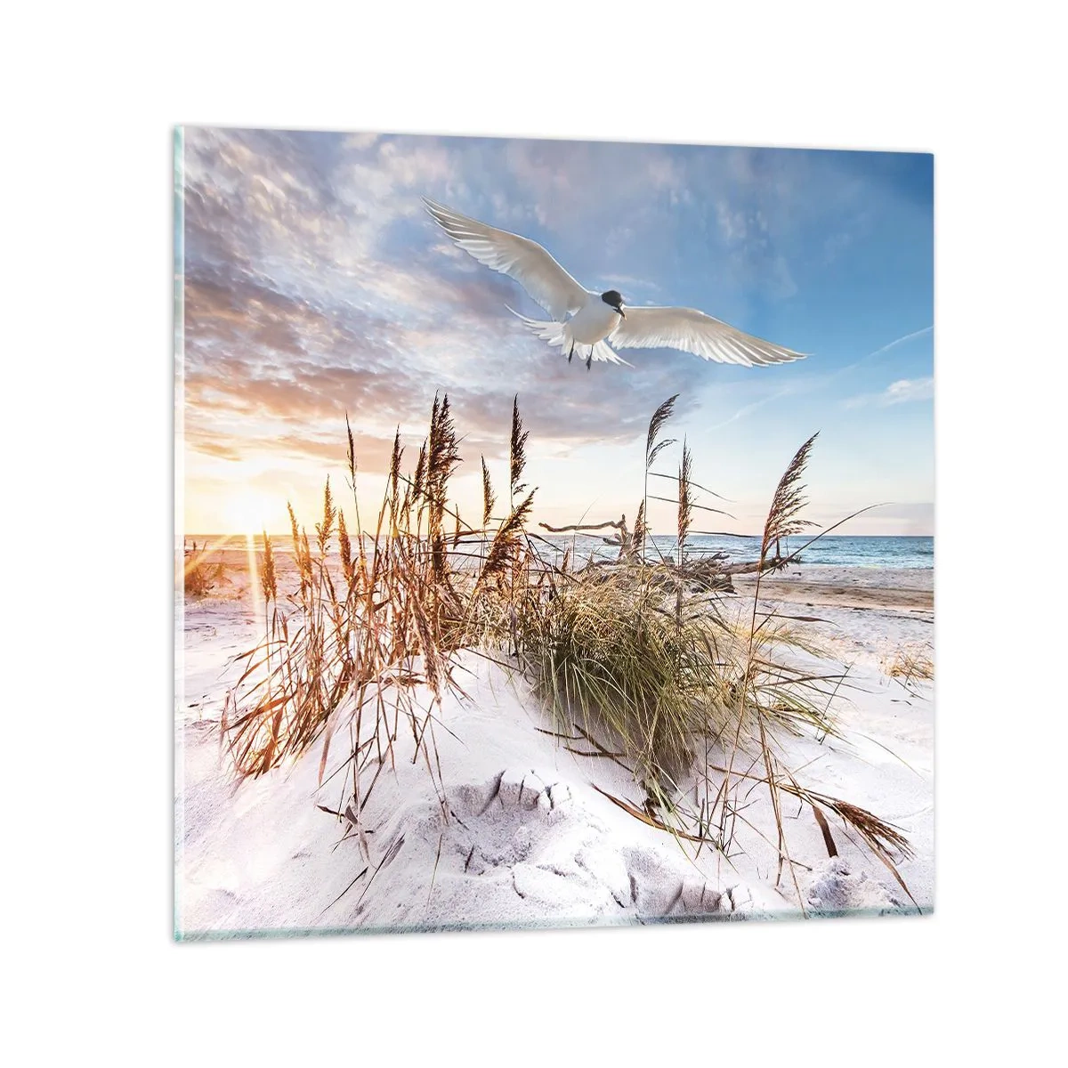 Impression sur verre - Image sur verre - Vent de mer - 60x60 cm