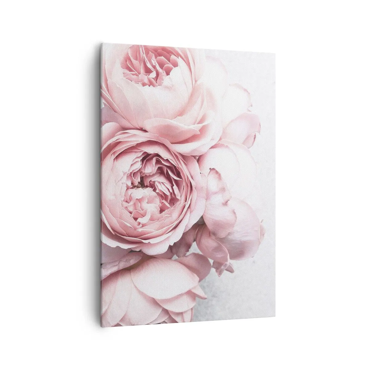 Impression sur toile - Image sur toile - Pivoines roses dans une lumière douce sur un fond clair - 70x100cm - Pour les romantiques - Décoration murale moderne pour le salon et la chambre ARTTOR