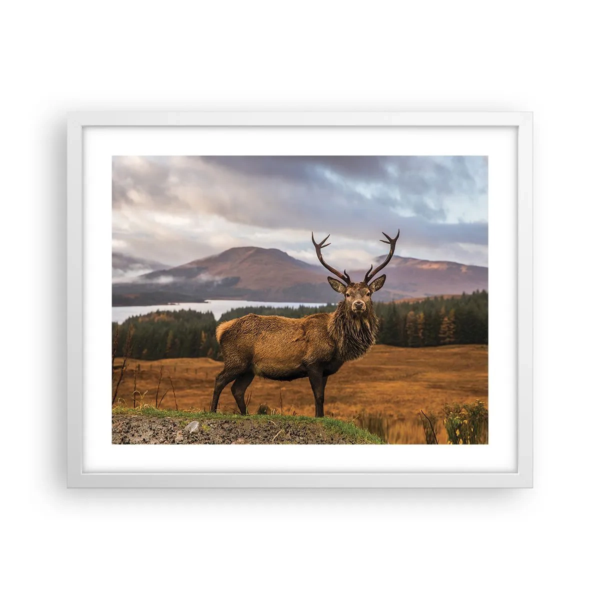 Affiche dans un cadre blanc - Poster - Majesté de la nature - 50x40 cm