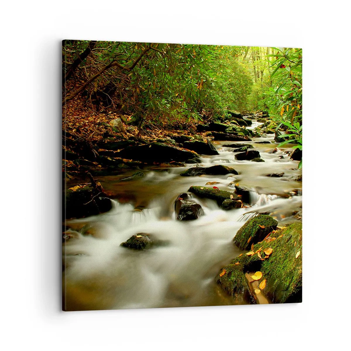 Impression sur toile - Image sur toile - Comme de l'argent liquide - 50x50 cm