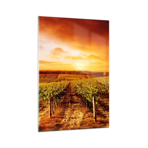 Impression sur verre - Image sur verre - Vignoble au coucher du soleil avec des tons de ciel chauds - 70x100cm - Légèrement fruité avec une pointe de soleil - Décoration murale moderne pour le salon et la chambre ARTTOR