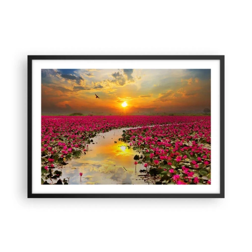 Affiche dans un cadre noir - Poster - Un champ de nénuphars roses au coucher du soleil - 70x50cm - La vie secrète du lac - Décoration murale moderne pour le salon et la chambre ARTTOR