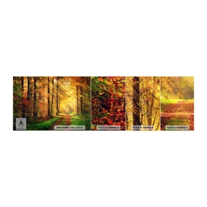 Échantillon de Papier Peint Autocollant Deluxe Sticker - Silence d'or en forêt - Paysage, Forêt, Route forestière - 100x30 cm