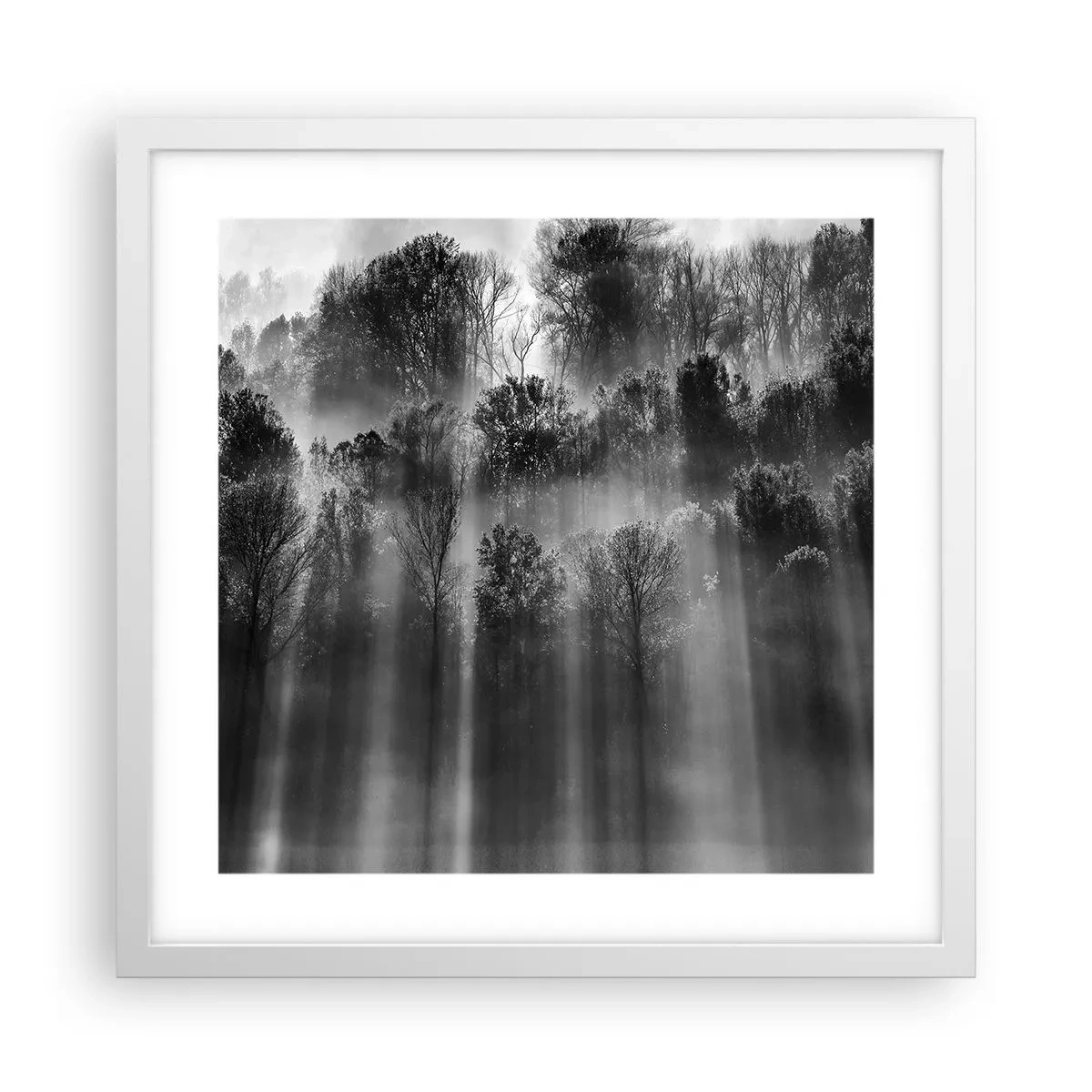 Affiche dans un cadre blanc - Poster - Dans les flots de lumière - 40x40 cm