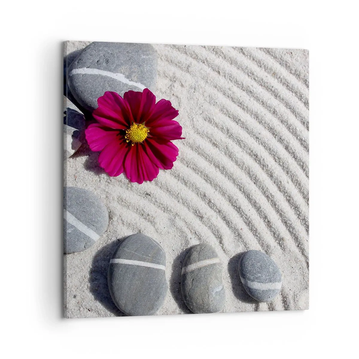 Impression sur toile - Image sur toile - Énergie et paix du cercle magique de la nature - 50x50 cm