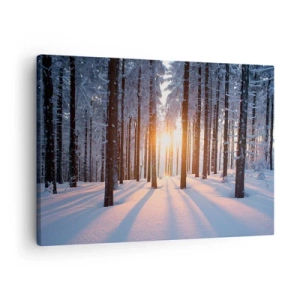 Impression sur toile - Image sur toile - Forêt d'hiver illuminée par les rayons du soleil - 70x50cm - Clairement en noir et blanc - Décoration murale moderne pour le salon et la chambre ARTTOR