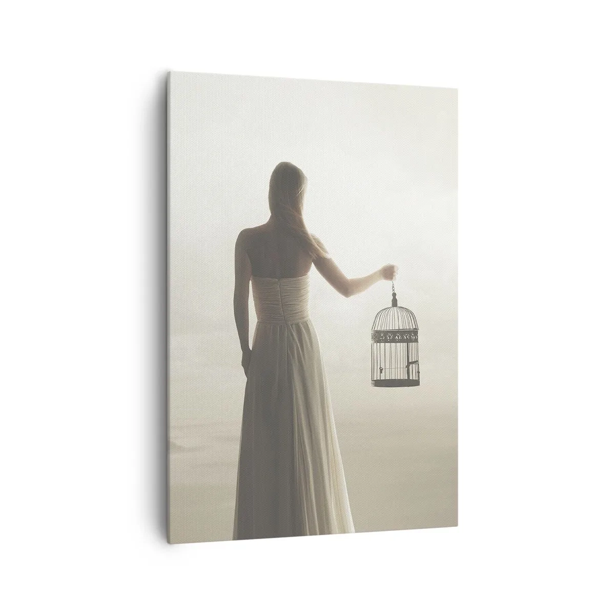 Impression sur toile - Image sur toile - Une femme avec une cage contre un ciel calme - 70x100cm - Soi libre - Décoration murale moderne pour le salon et la chambre ARTTOR